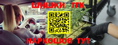 дмт Новодвинск