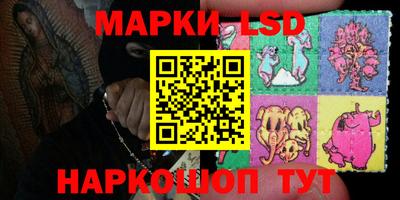 дмт Новодвинск