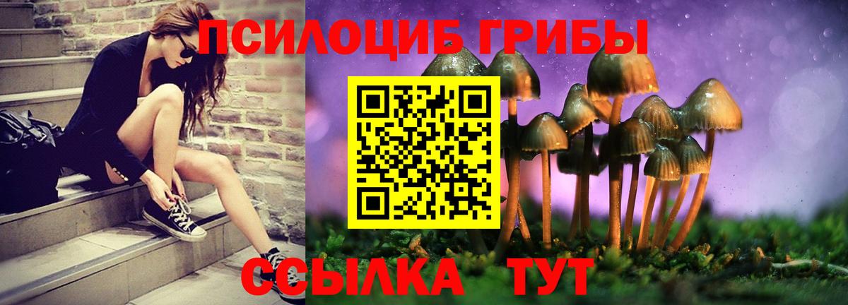 Галлюциногенные грибы Cubensis Саров