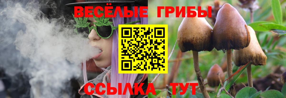 Галлюциногенные грибы GOLDEN TEACHER  Псилоцибиновые грибы ЛСД  Саров  Вход с VPN 